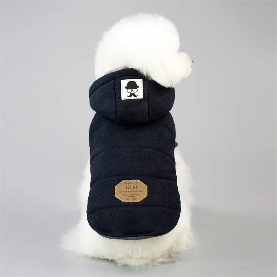Abrigo de invierno con capucha para perros y gatos
