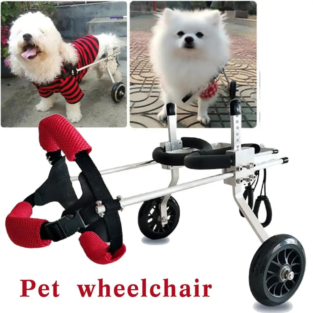 Silla de ruedas ajustable para perros con movilidad reducida
