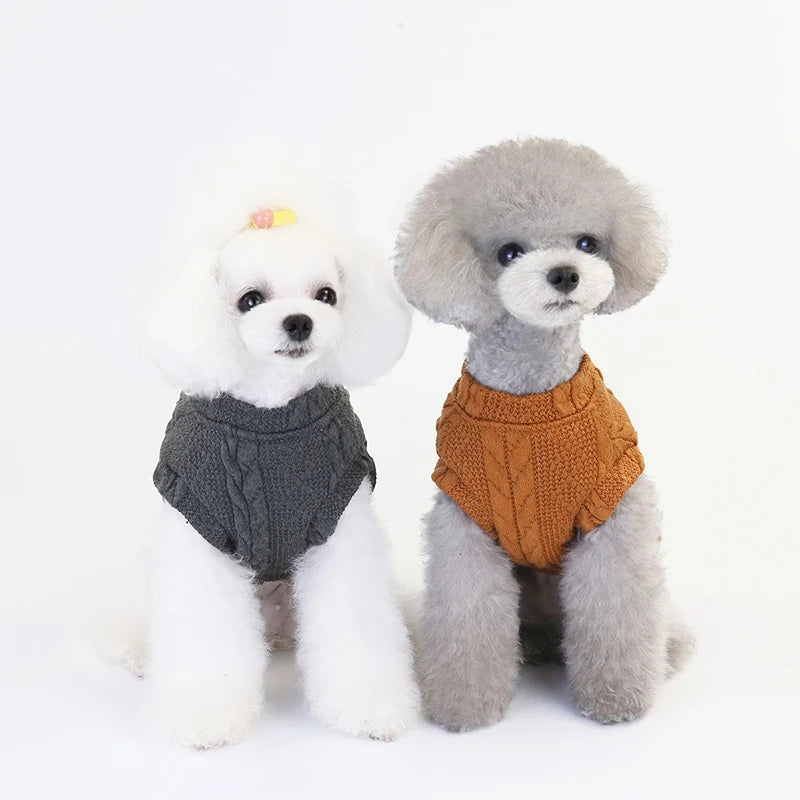 Jersey cálido de invierno para perros