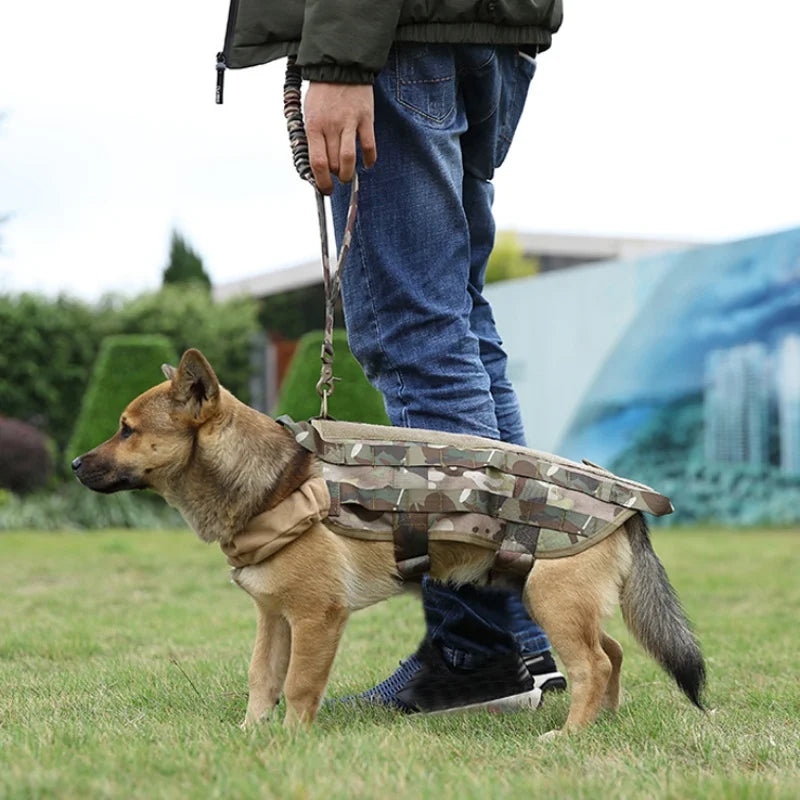 Correa táctica de cuerda para perros con asa acolchada, foto 2 de 7
