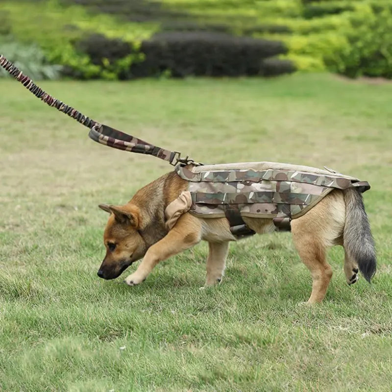 Correa táctica de cuerda para perros con asa acolchada, foto 3 de 7