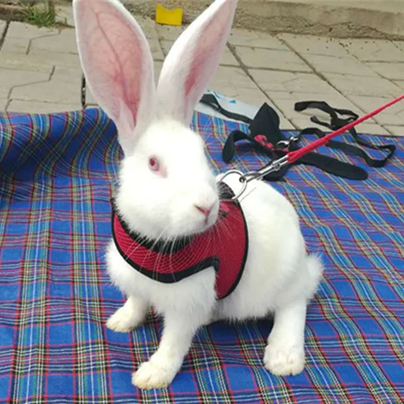 Arnés de malla para conejos y pequeños animales, foto 4 de 7