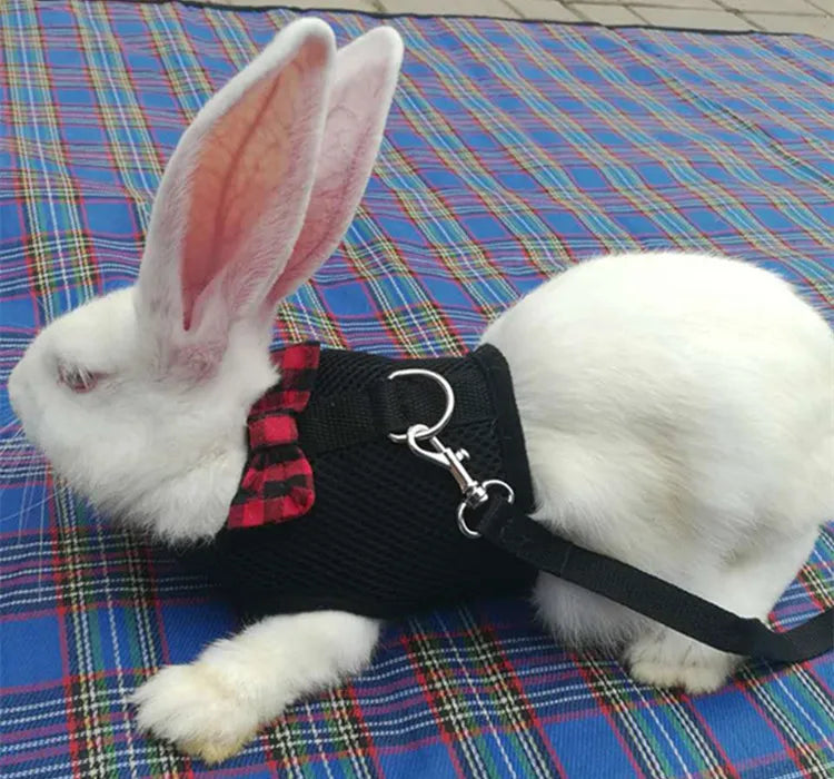 Arnés de malla para conejos y pequeños animales en color negro