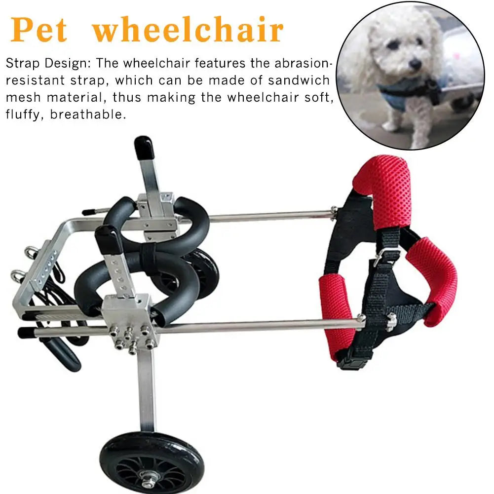 Silla de ruedas ajustable para perros con movilidad reducida