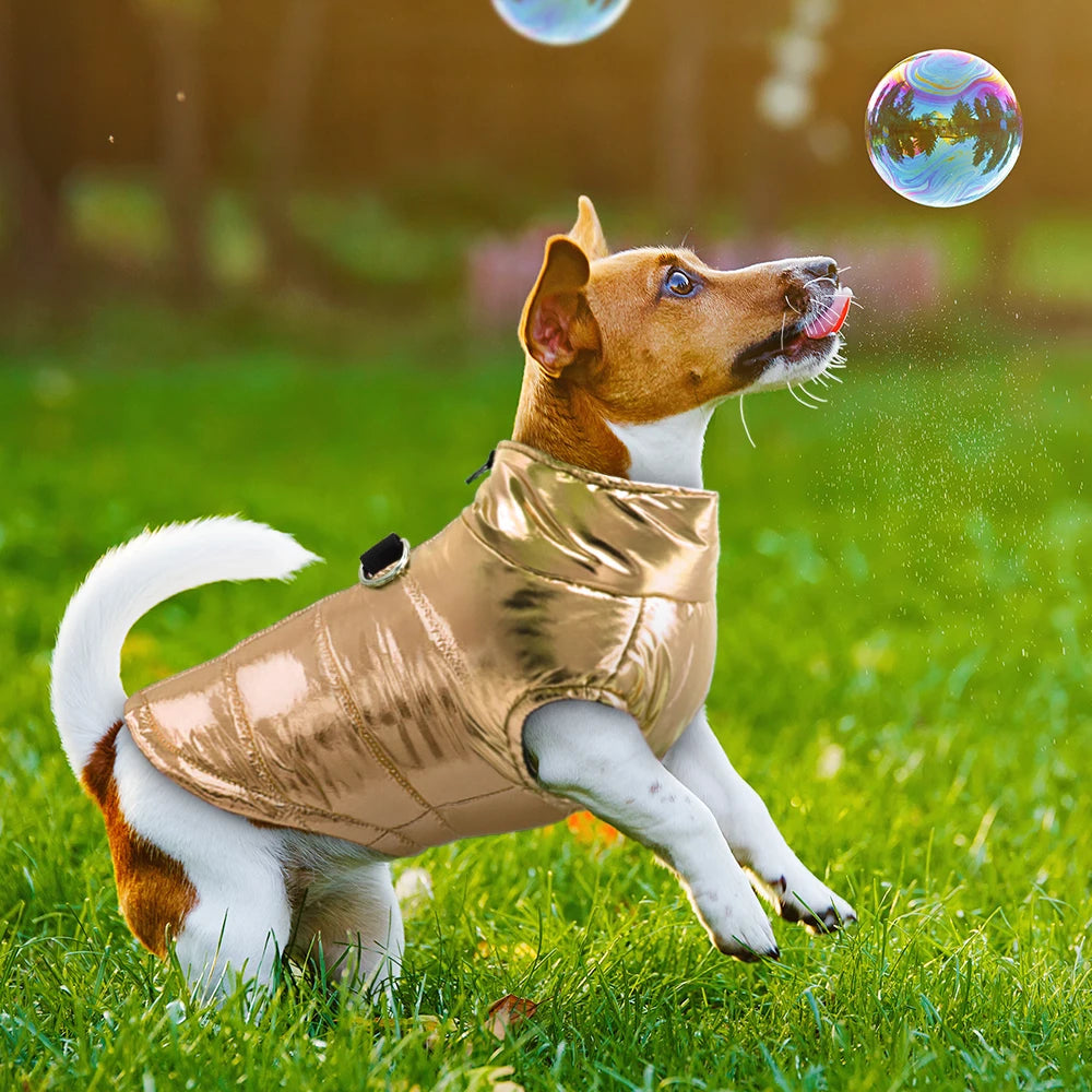 Chaleco acolchado impermeable para perro con anilla para correa