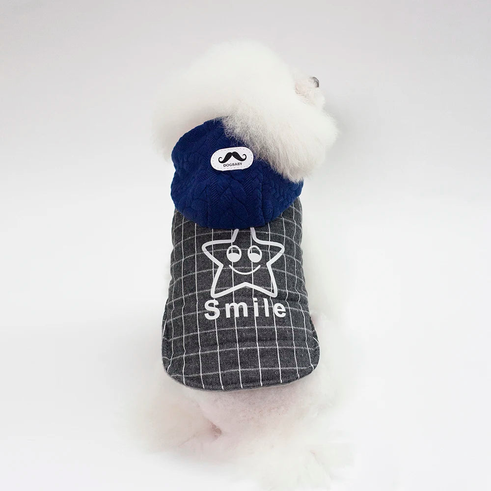 Abrigo de invierno con capucha para perros y gatos