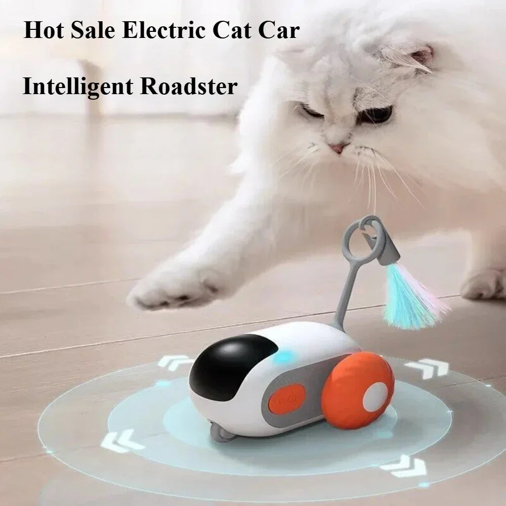 Coche teledirigido para gatos