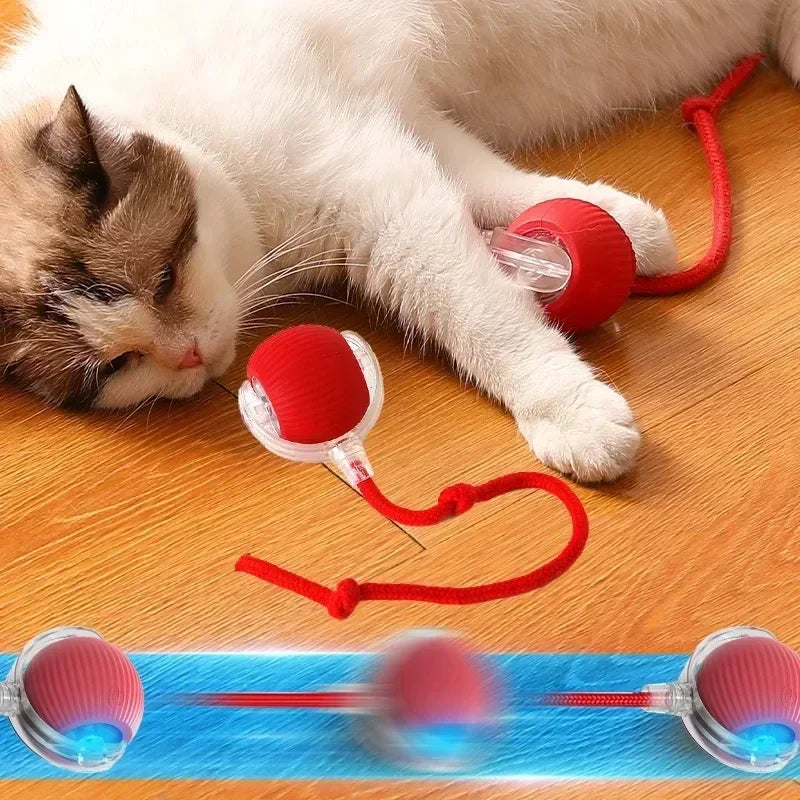 Pelota interactiva automática para gatos