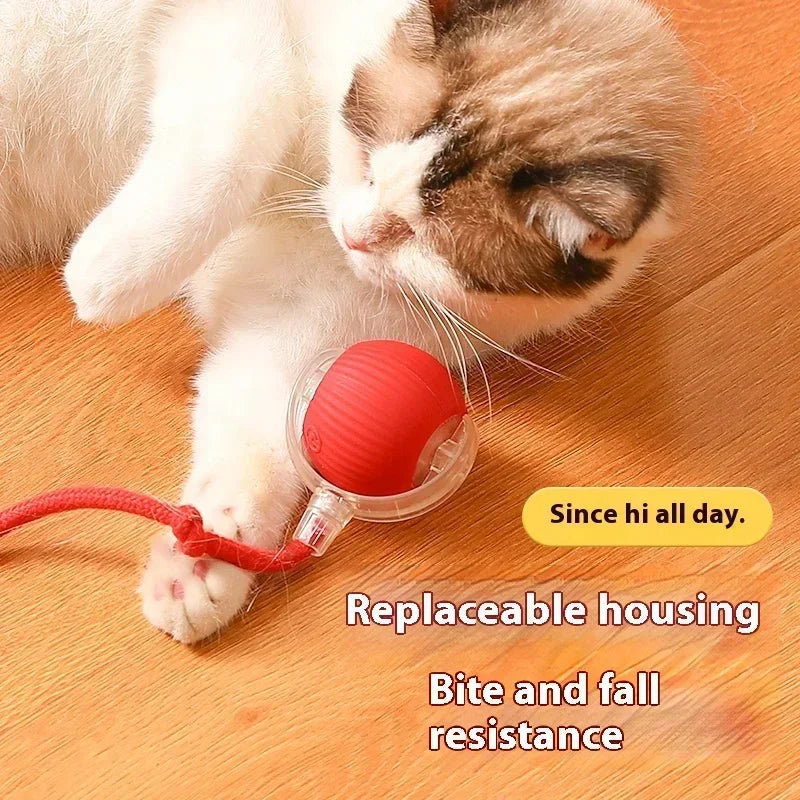 Pelota interactiva automática para gatos