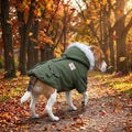 Pack paseo de invierno: abrigo acolchado con capucha + calcetines antideslizantes