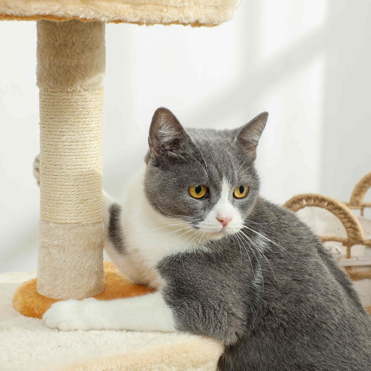 Árbol rascador para gatos de 72 cm con refugio