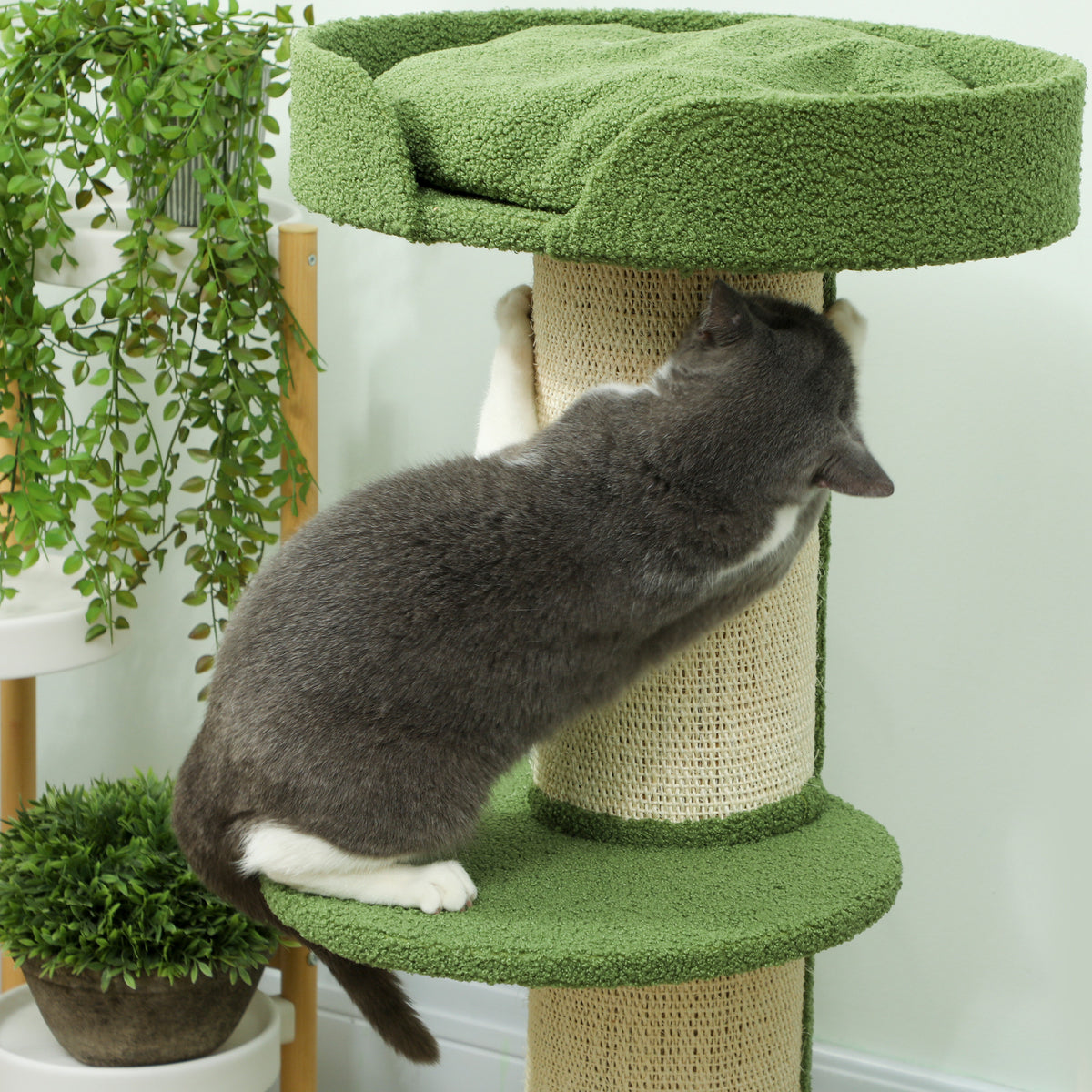 Árbol rascador para gatos con plataformas y cojín