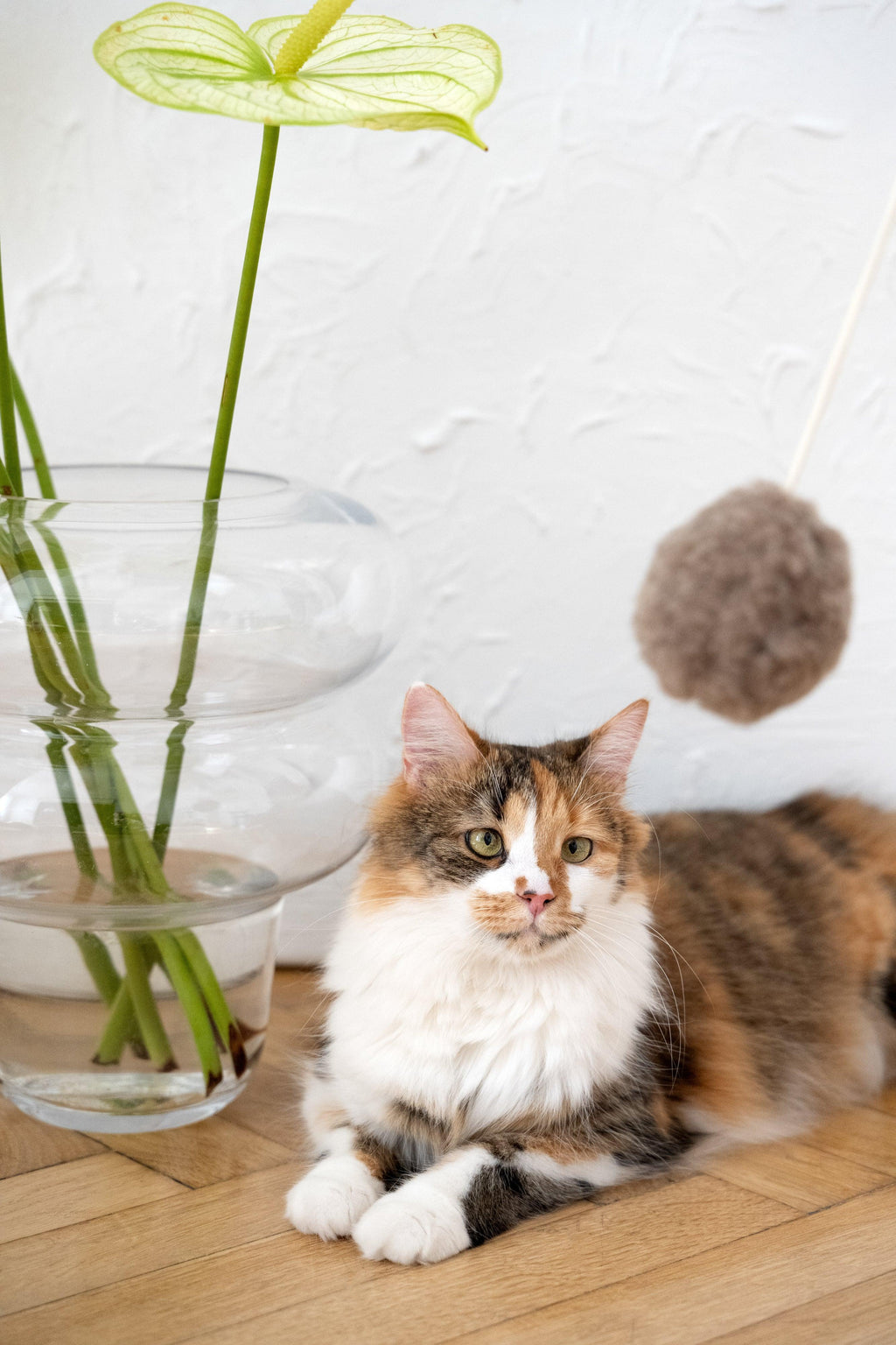 Pelota natural de piel de oveja para gatos
