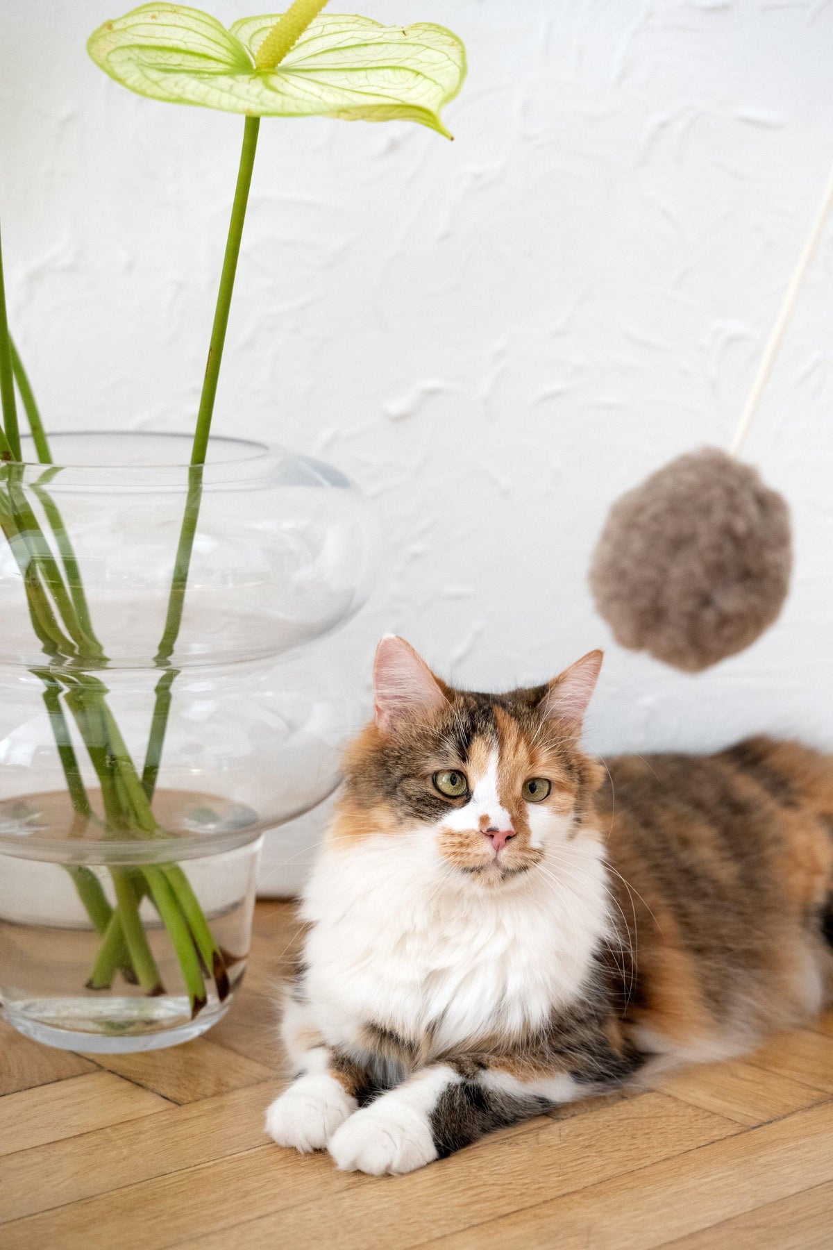 Pelota natural de piel de oveja para gatos
