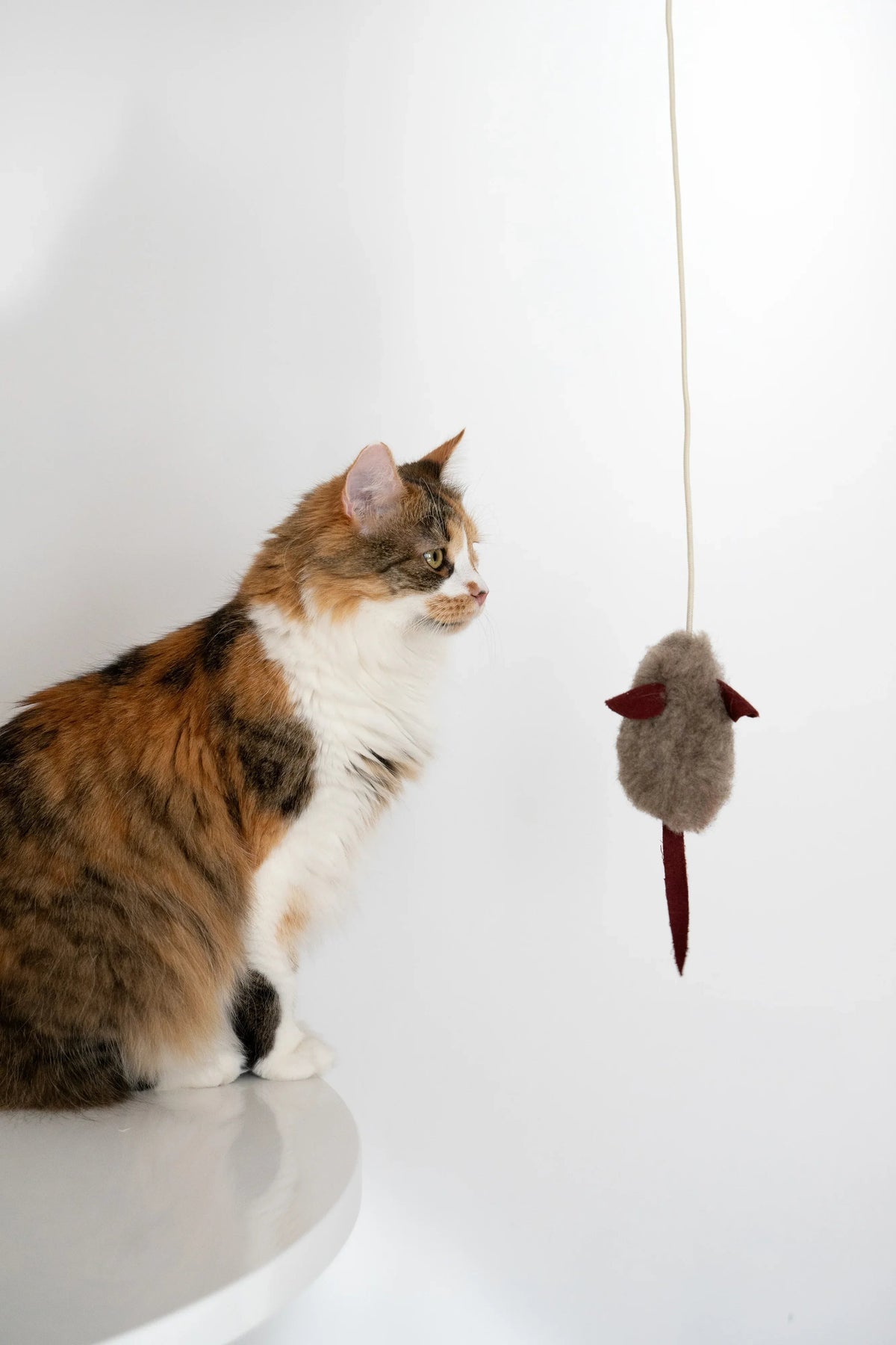 Ratón de lana natural para gatos con cascabel
