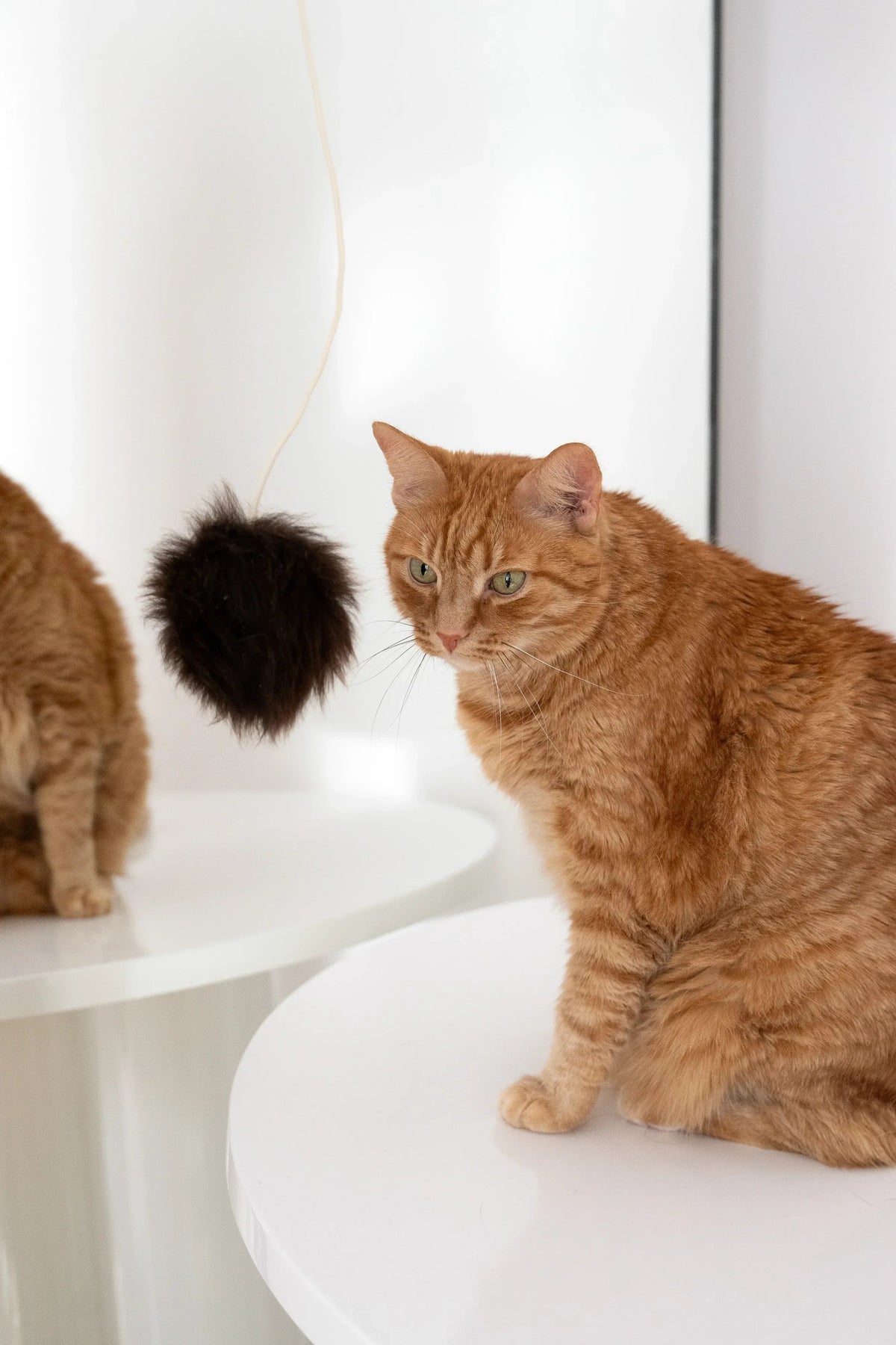 Pelota natural de piel de oveja para gatos
