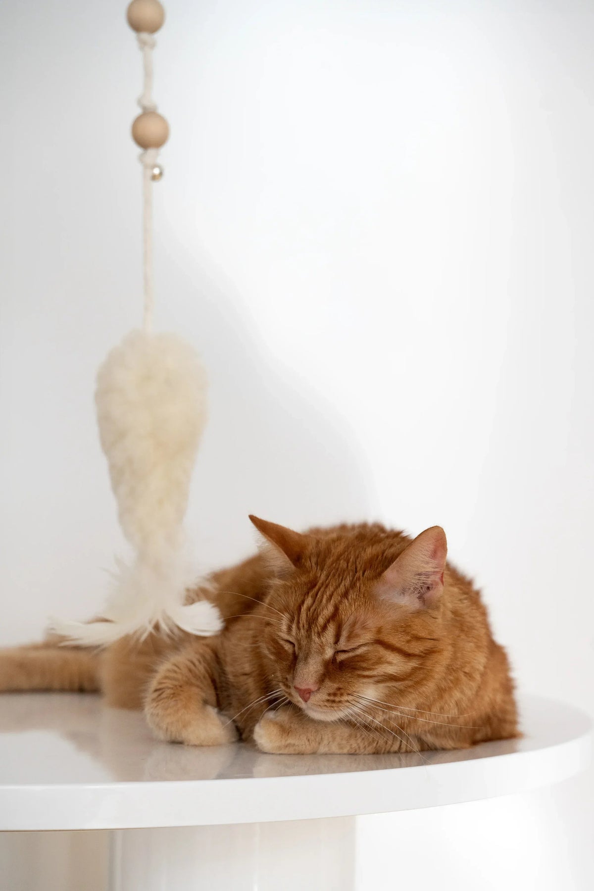 Juguete para gatos Mellow de lana con forma de pez