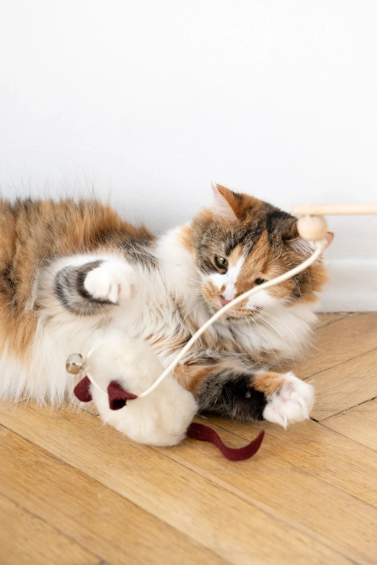 Ratón de piel de oveja natural para gatos