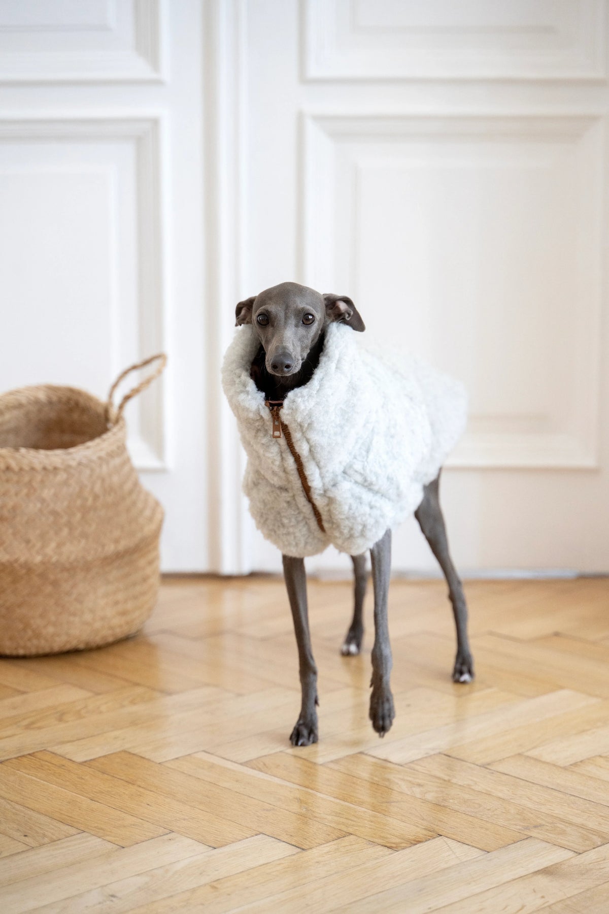 Chaleco de lana Mellow para perros, gris claro