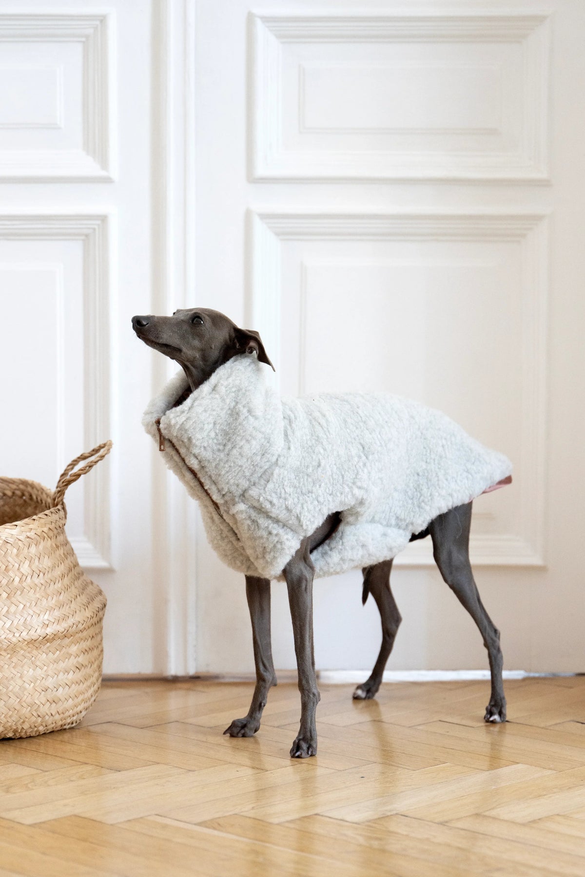 Chaleco de lana Mellow para perros, gris claro, foto 2 de 5