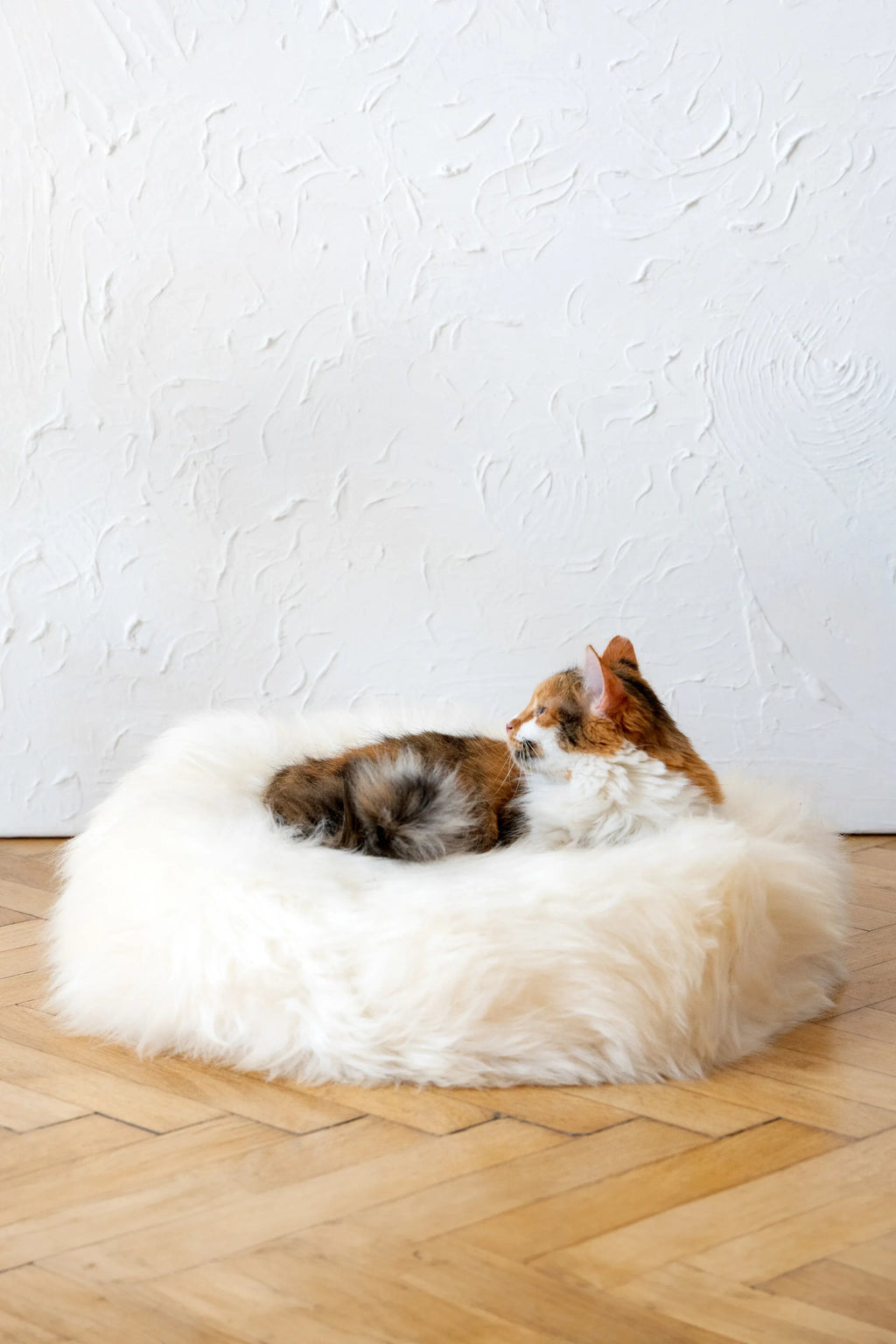 Cama redonda de piel de oveja natural Mellow, de 30 cm a 100 cm