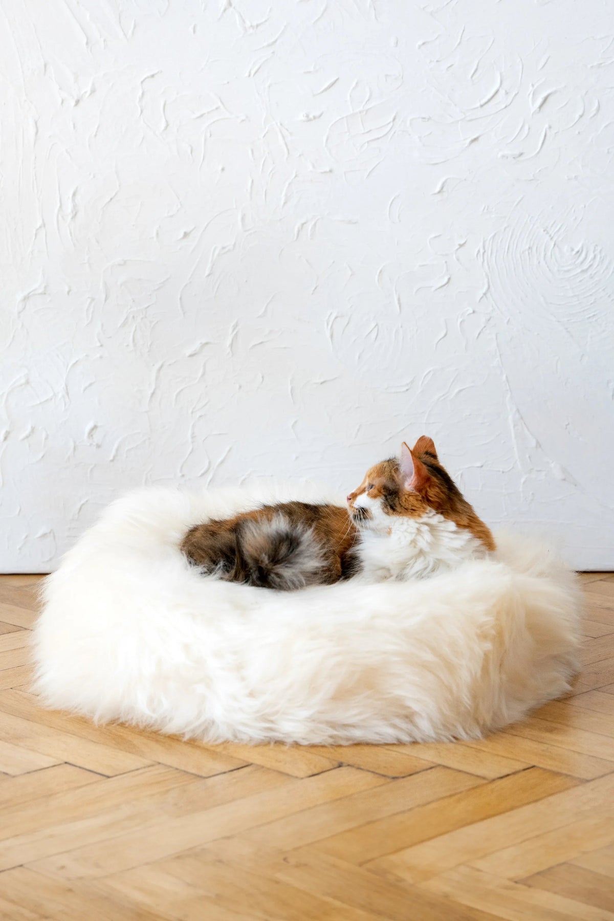 Cama redonda de piel de oveja natural Mellow, de 30 cm a 100 cm