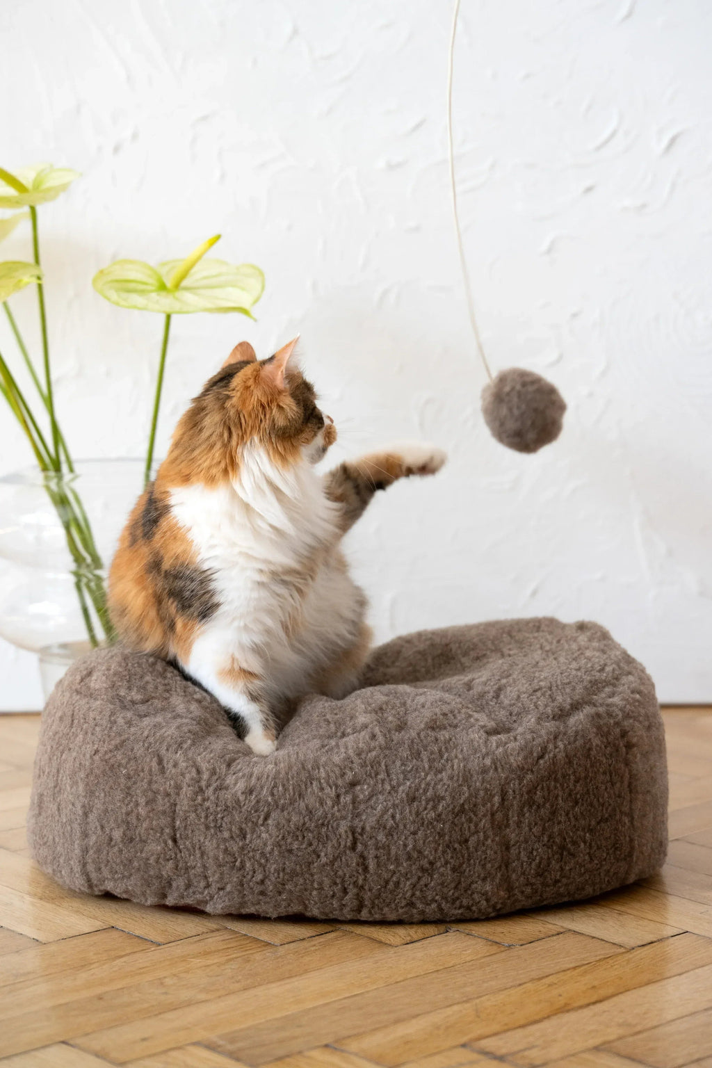 Pelota natural de piel de oveja para gatos