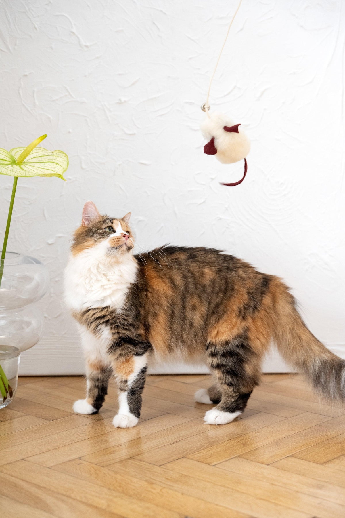 Ratón de piel de oveja natural para gatos