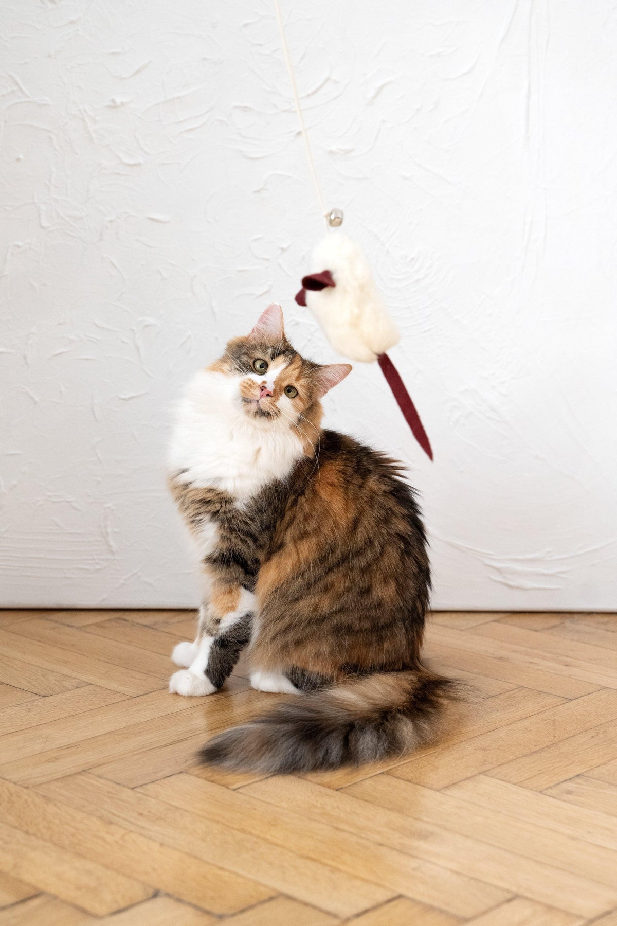 Ratón de piel de oveja natural para gatos