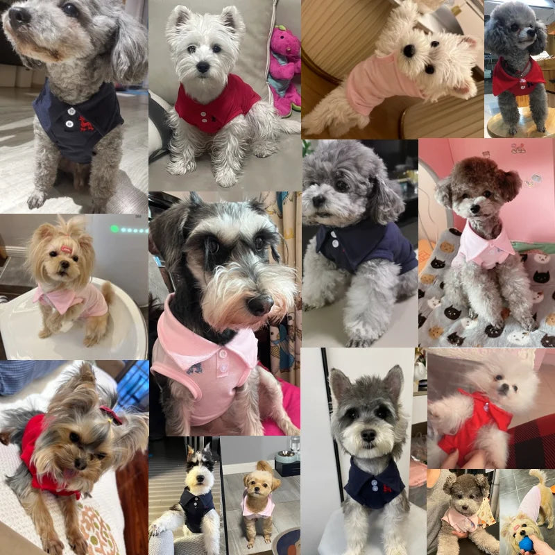 Polo de algodón para perros pequeños y medianos