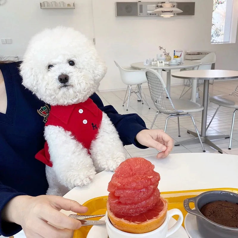 Polo de algodón para perros pequeños y medianos