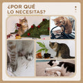 Árbol rascador para gatos gris de 48 cm