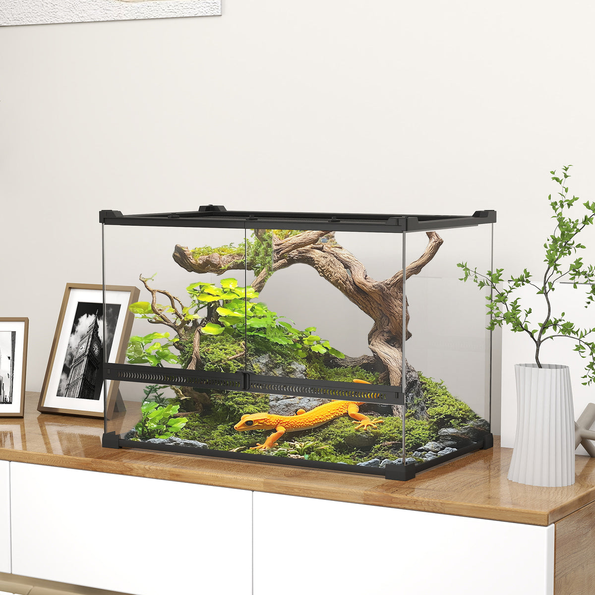 Terrario de cristal de 48 L
