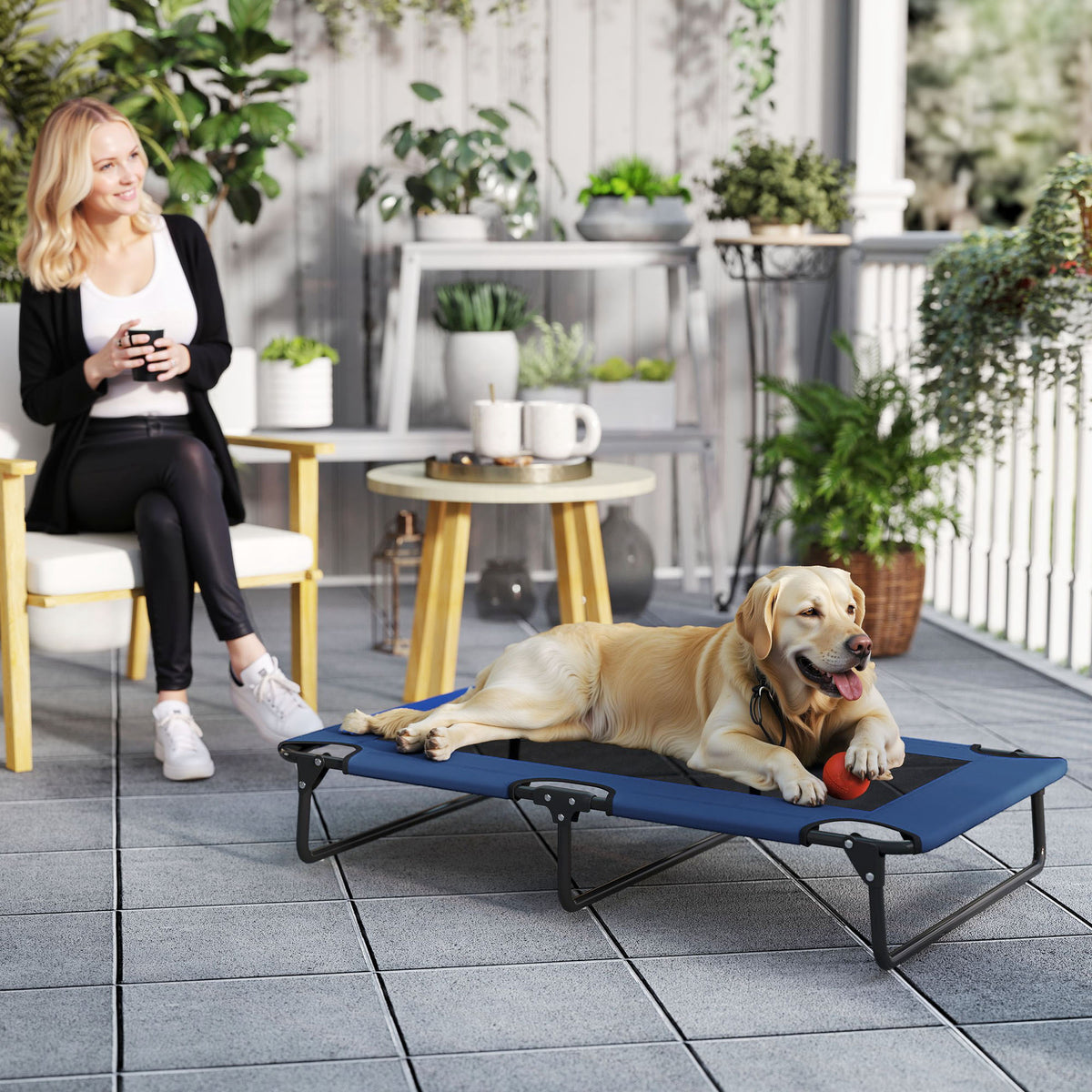 Cama elevada plegable y refrescante para perros
