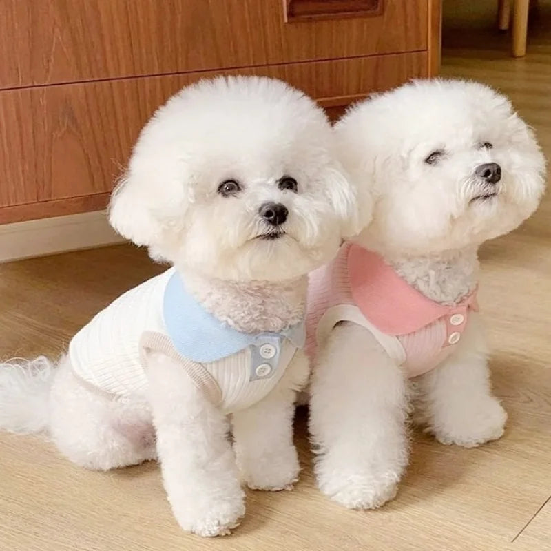 Polo liso de verano para perros pequeños