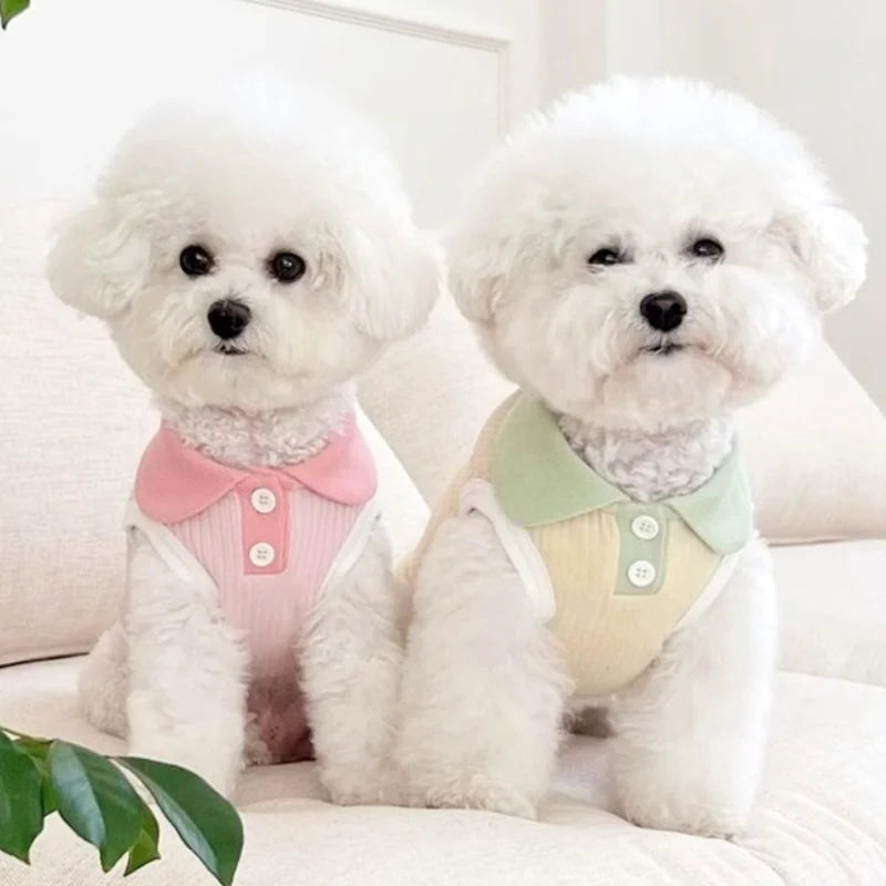 Polo liso de verano para perros pequeños
