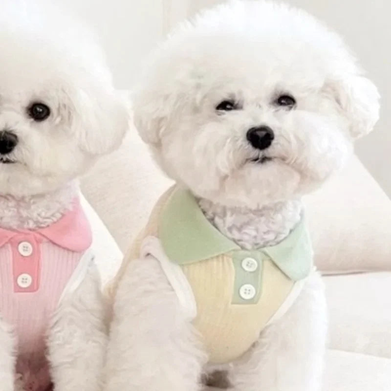 Polo liso de verano para perros pequeños