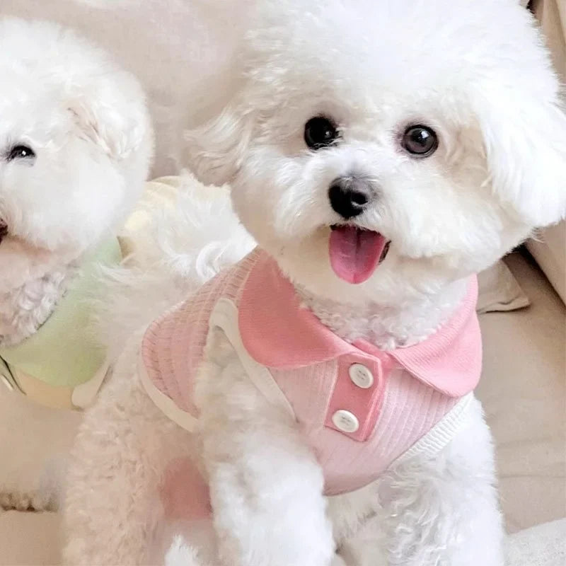 Polo liso de verano para perros pequeños