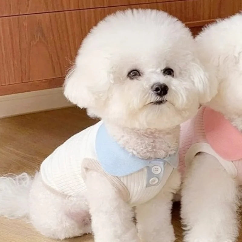 Polo liso de verano para perros pequeños