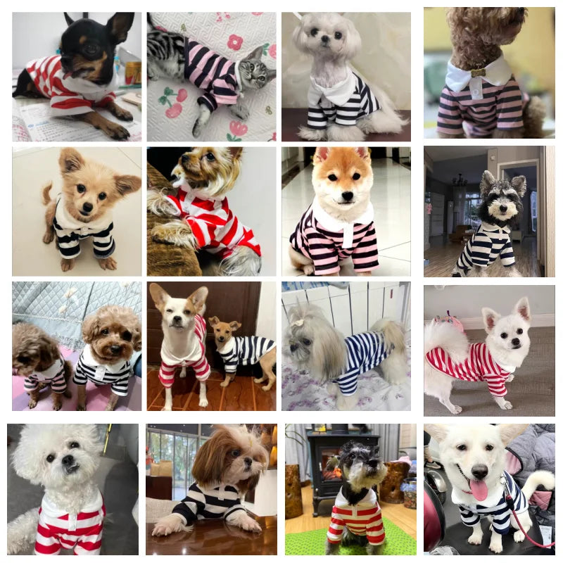 Polo de rayas de algodón para perros pequeños