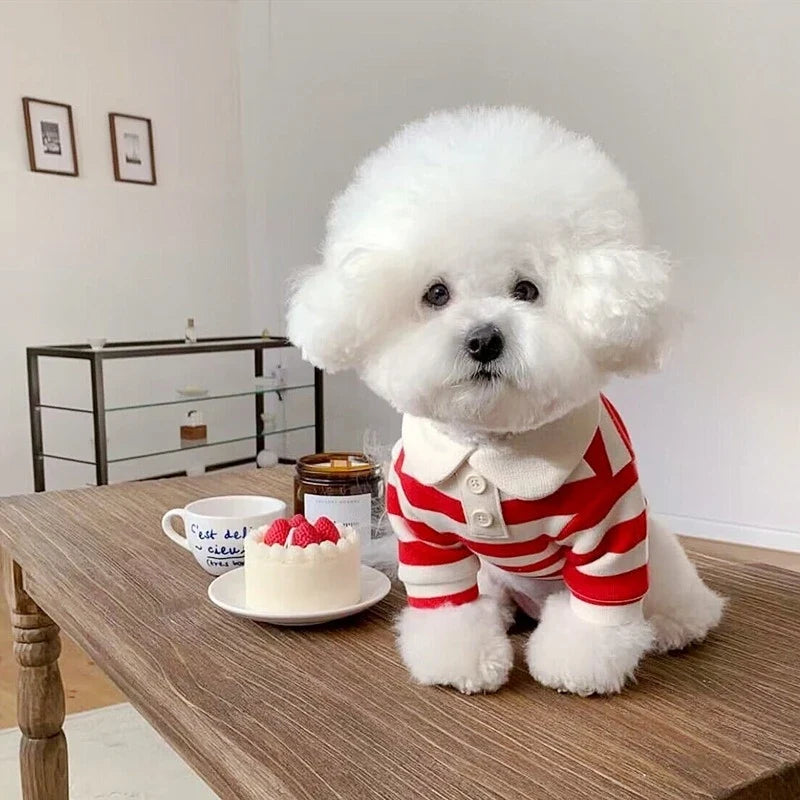 Polo de rayas de algodón para perros pequeños