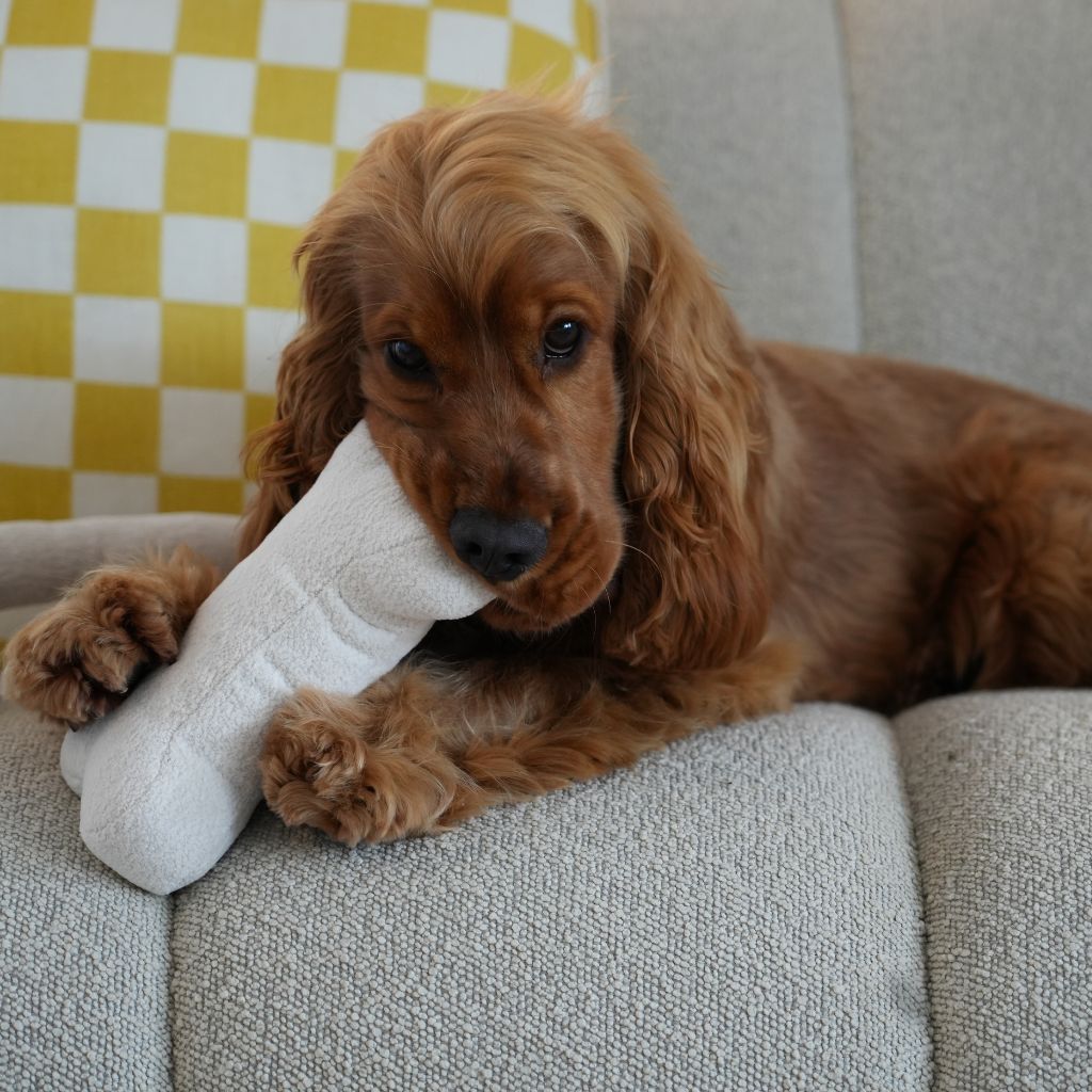 Juguete de hueso de bouclé con sonidos para perros, foto 2 de 7