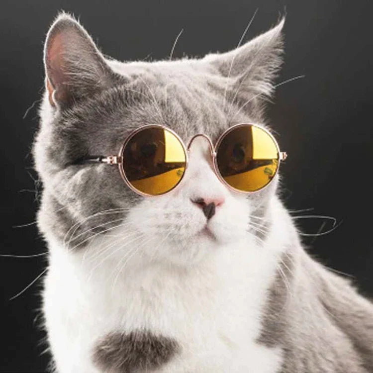 Gafas de sol redondas vintage para perros pequeños y gatos