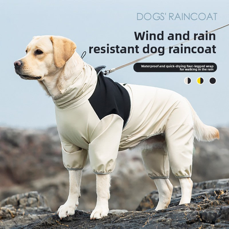 Chubasquero para perros