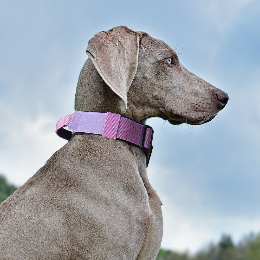 Collar táctico reflectante para perro
