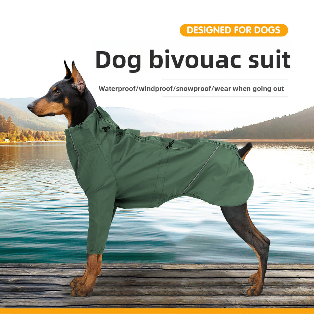 Chubasquero para perros