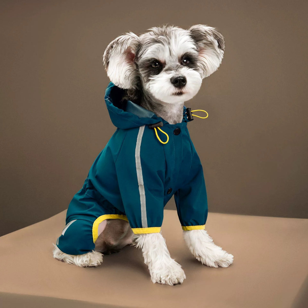Chubasquero con capucha y tiras reflectantes para perros