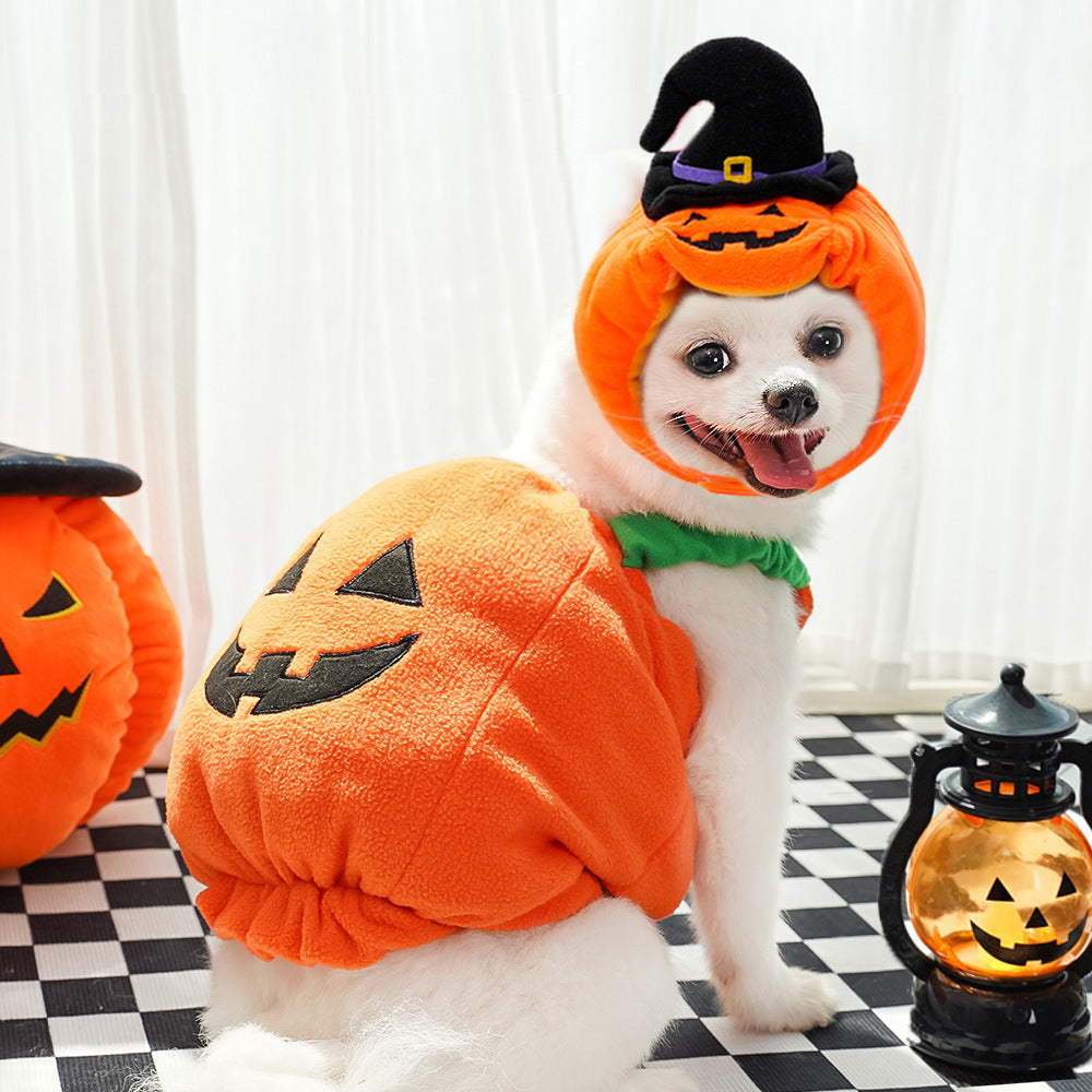 Disfraz de Halloween de Calabaza para Perros y Gatos, de XS · pecho 30-40 cm, hasta 3 kg a L · pecho 60-70 cm, 12,5-20 kg