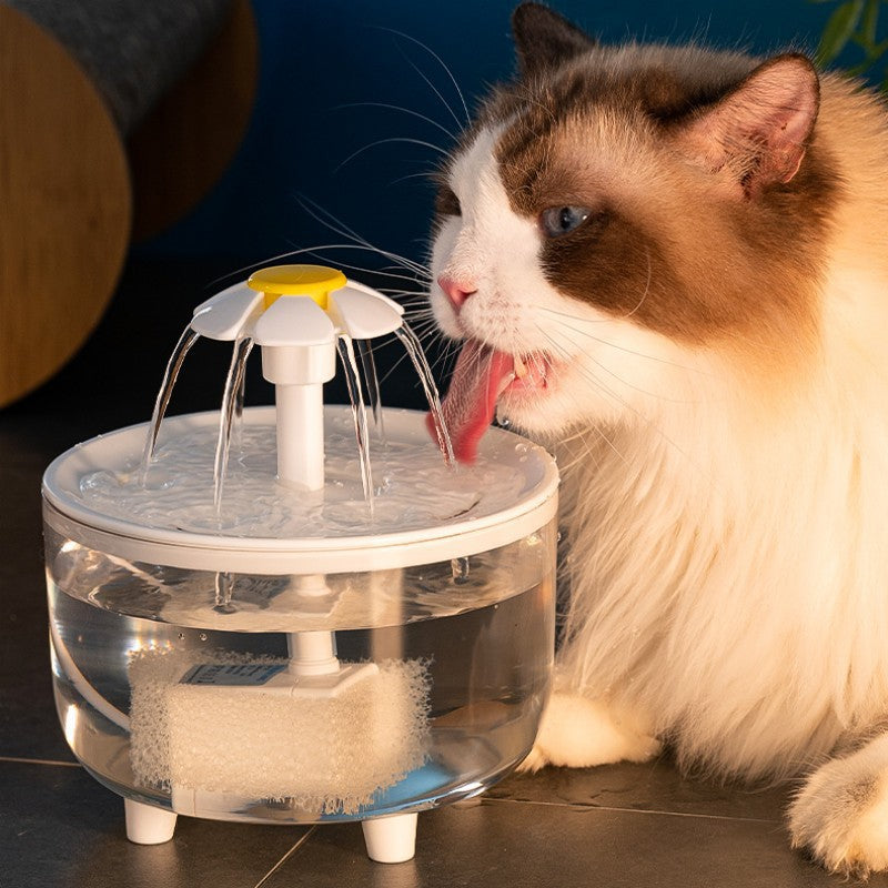 Fuente automática de agua para mascotas
