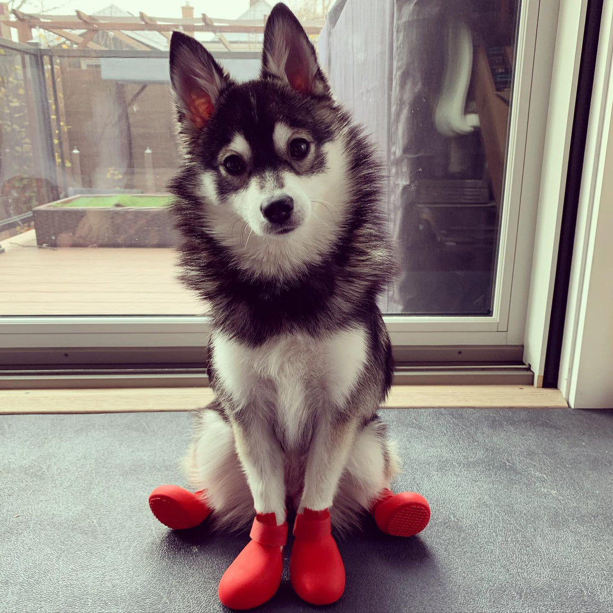 Botas de lluvia de silicona antideslizantes para perros